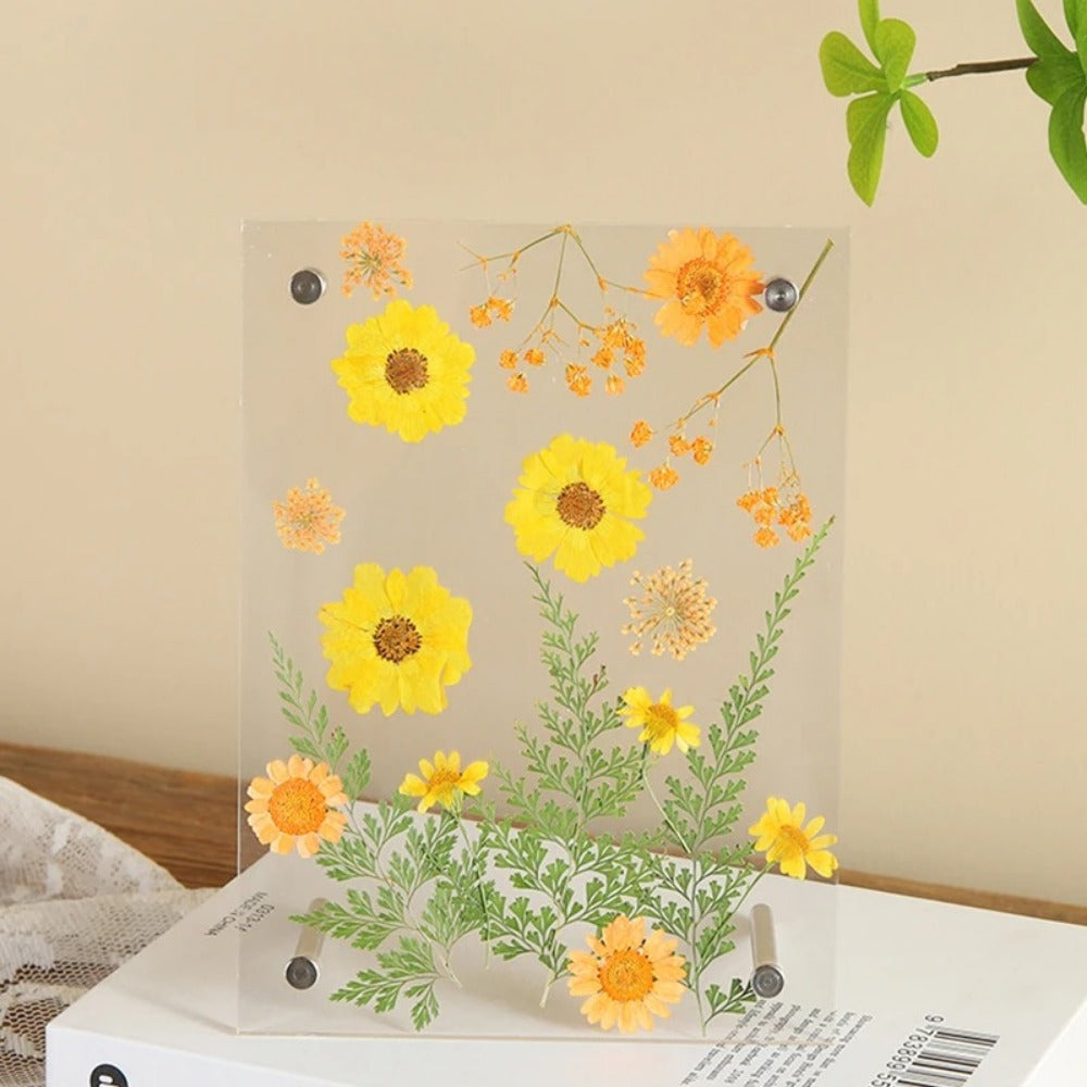 New DIY Glass Picture Frame Double-Sided Transparent Display Stand Decorative Handmade Acrylic Photo Frame For Dried Flowers