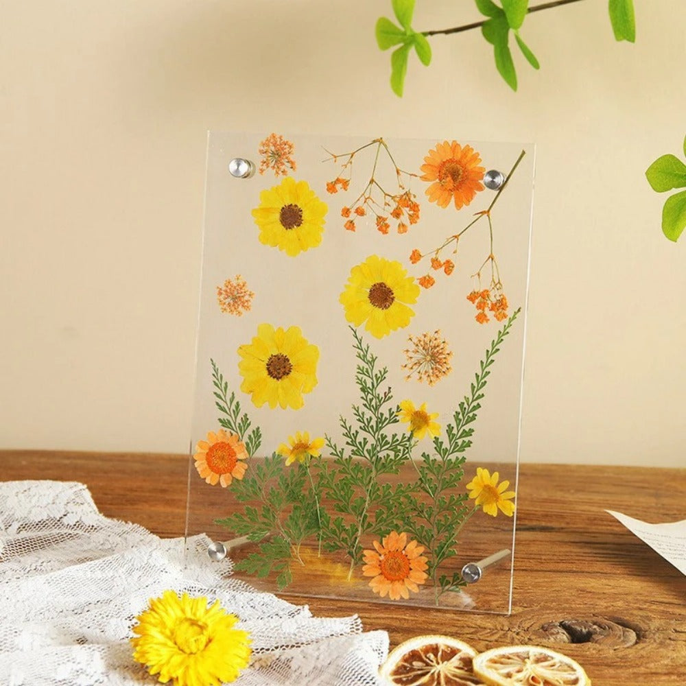 New DIY Glass Picture Frame Double-Sided Transparent Display Stand Decorative Handmade Acrylic Photo Frame For Dried Flowers