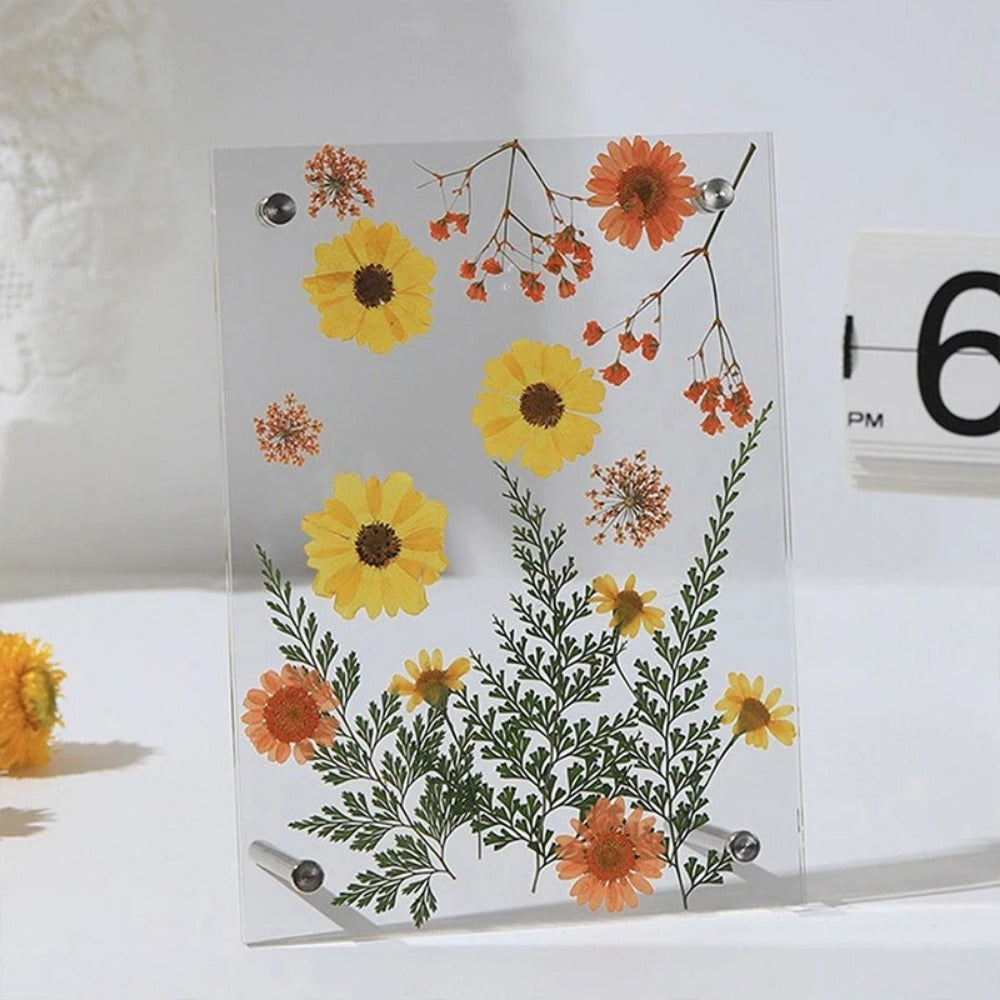 New DIY Glass Picture Frame Double-Sided Transparent Display Stand Decorative Handmade Acrylic Photo Frame For Dried Flowers